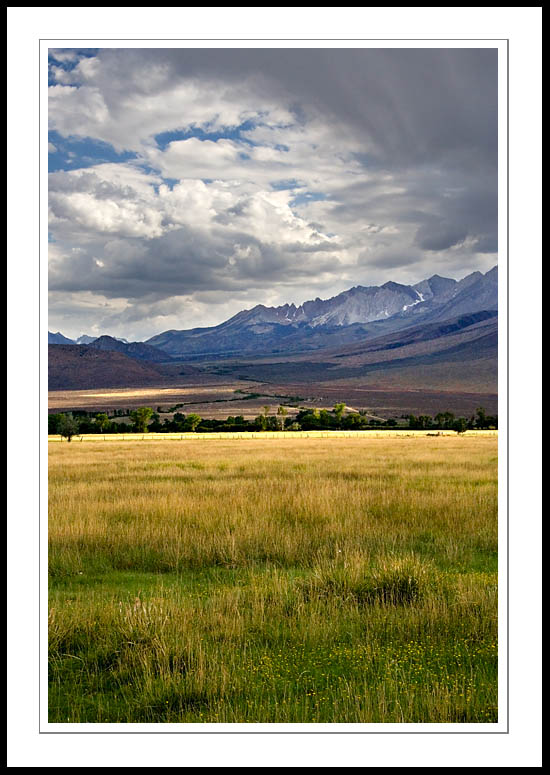 BishopPasture2005|08|06: Pastures and Eastern Sierra Nevada near Bishop. August 6, 2005. © Copyright G Dan Mitchell.