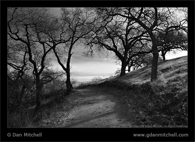 CaleroFireRoad2006|01|14: Fire Road. Calero Park. January 14, 2006. &copy; "Copyright G Dan Mitchell". ("sales")