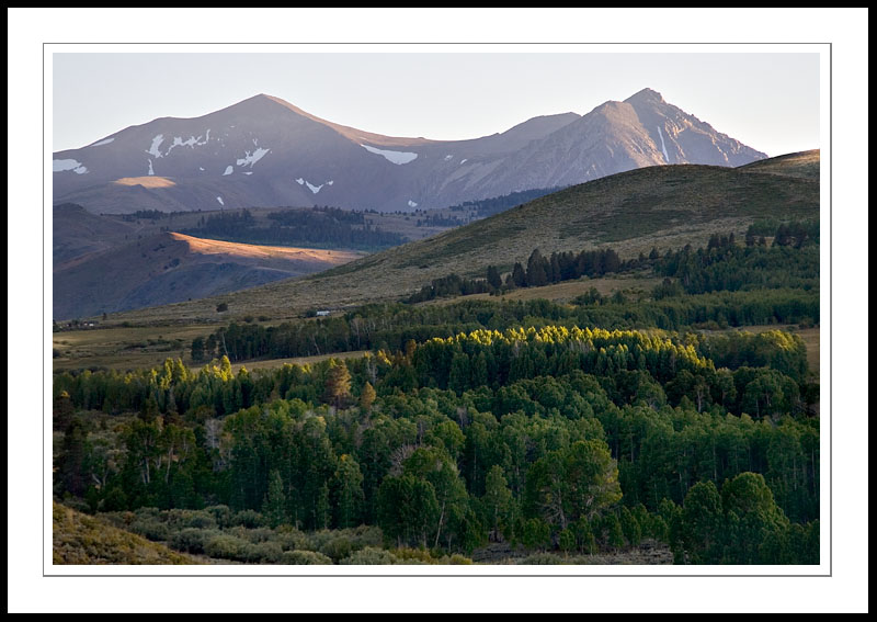 ConwaySummit2005|09|16: Aspen Groves at Sunset. Conway Summit. September 16, 2005. © Copyright G Dan Mitchell.