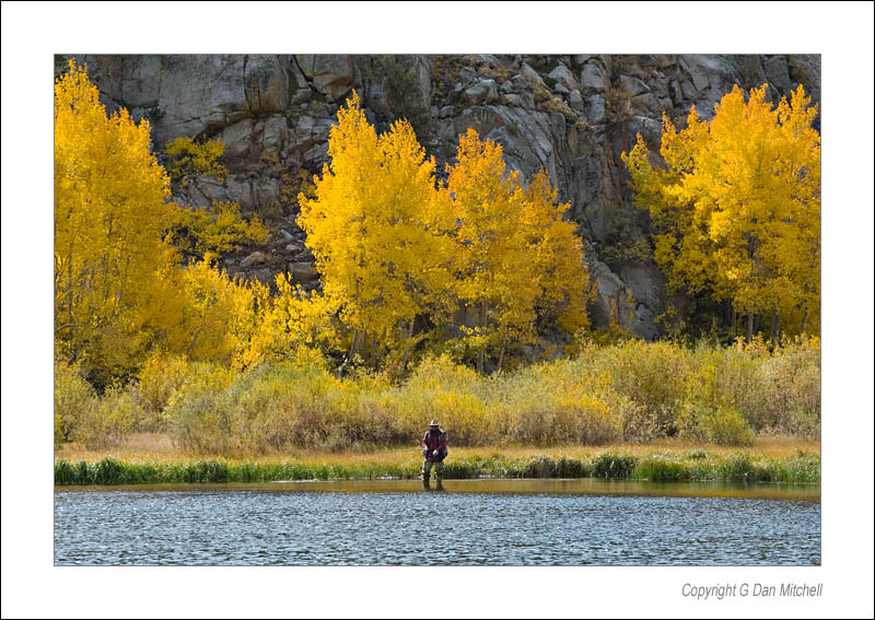 FishermanNorthLake2006|10|01: Fisherman, North Lake. October 1, 2006. © Copyright "g dan mitchell". keywords: fly fisherman north lake autumn fall colors golden aspens sierra nevada north lake california color photograph
