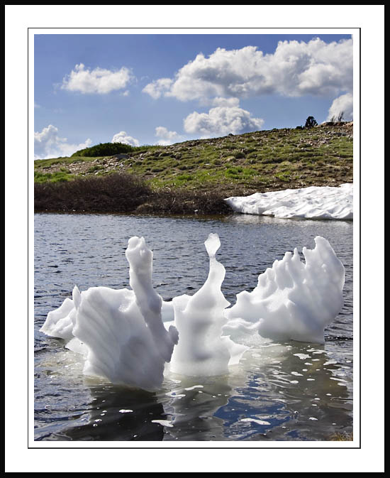 FloatingTarnIce2005|07|08: Ice in Alpine Tarn. Yosemite National Park. July 8, 2005. © Copyright Dan Mitchell.