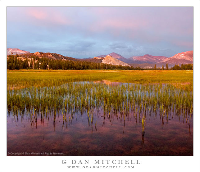 TuolumneAlpenglow2006|07|23: Tuolumne Meadows Alpenglow. Yosemite National Park. July 23, 2006. &copy; Copyright G Dan Mitchell.    keywords: tuolumne meadows alpenglow sunset vivid colors lembert dome mount dana yosemite national park color photograph