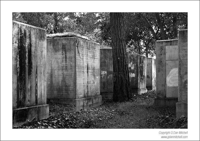 MINSYBombShelterTreesBW2007|03|03: Bomb Shelter and Trees. Mare Island Naval Shipyard, California. March 3, 2007. &copy; "Copyright G Dan Mitchell". ("sales")    keywords: bomb shelter trees mare island naval shipyard vallejo california black and white photograph