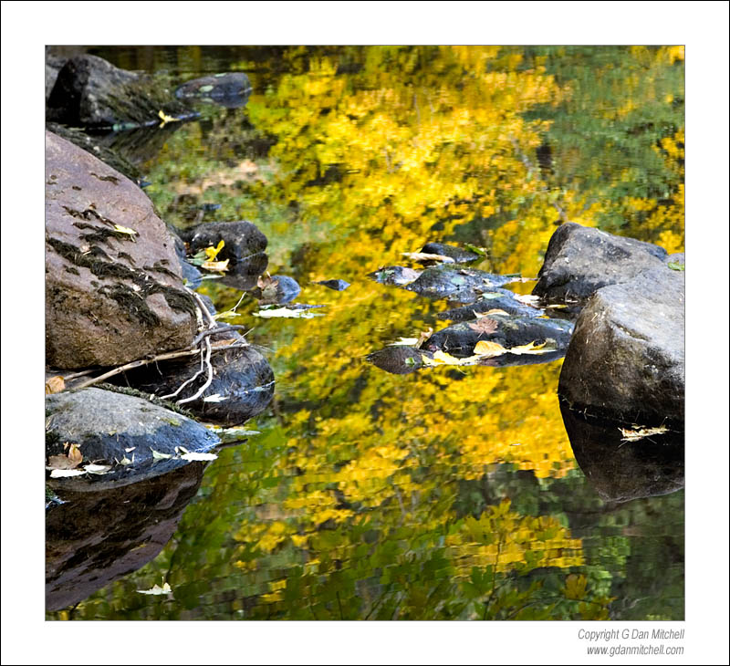 MercedFallLeavesRocksSq2006|10|22: Merced River Reflections, Autumn. Yosemite National Park, California. October 22, 2006. &copy; "Copyright G Dan Mitchell". ("sales")    keywords: merced river reflections autumn fall leaves leaf rocks yosemite national park valley california color photograph