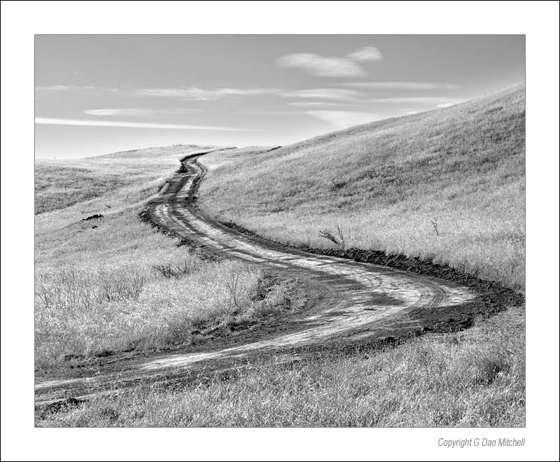 MissionRidgeRoadBW2006|09|02: Dirt Road, Mission Peak Ridge. September 2, 2006. &copy; "copyright g dan mitchell".    keywords: dirt road mission peak ridge fremont california black and white photograph
