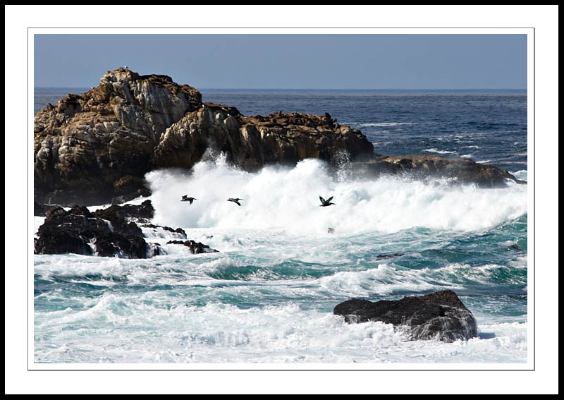 PelicanFlight2005|10|15: Pelicans in Flight. Point Lobos. October 15, 2005. © Copyright G Dan Mitchell.