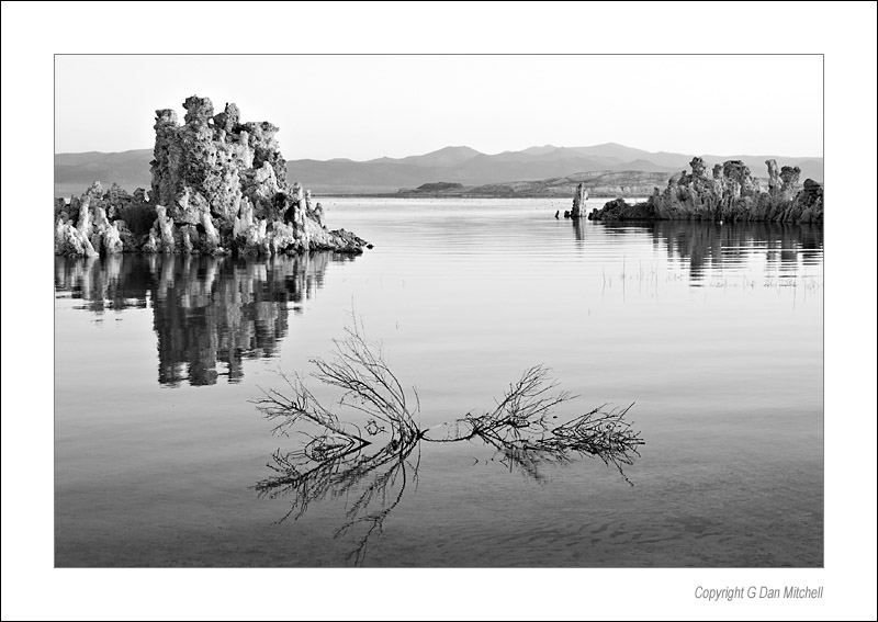 SouthTufaDawnBW2006|09|10: South Tufa, Dawn (black and white). Mono Lake, California. Septemer 10, 2006. &copy; "Copyright G Dan Mitchell".    keywords: south tufa towers dawn sunrise plant bush water mono lake california black and white photograph