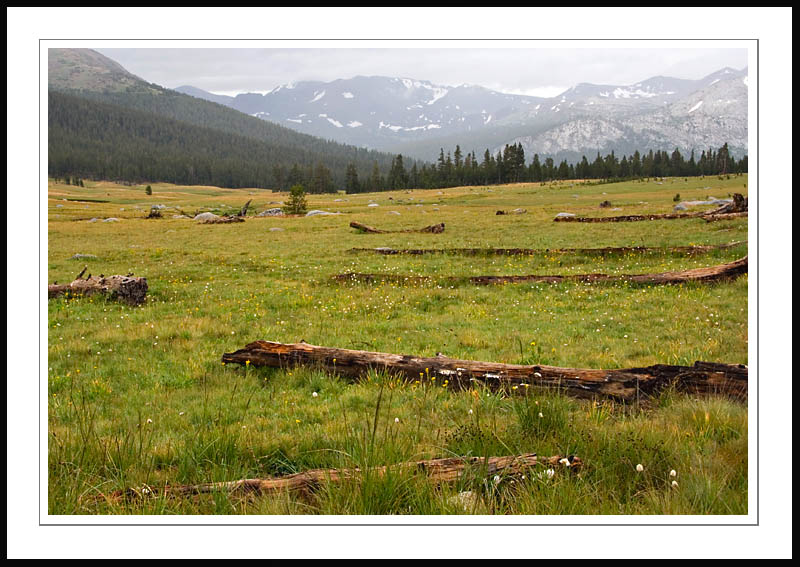TiogaMeadow1005|08|15: Meadow near Tioga Pass. Yosemite National Park. August 15, 2005. © Copyright G Dan Mitchell.
