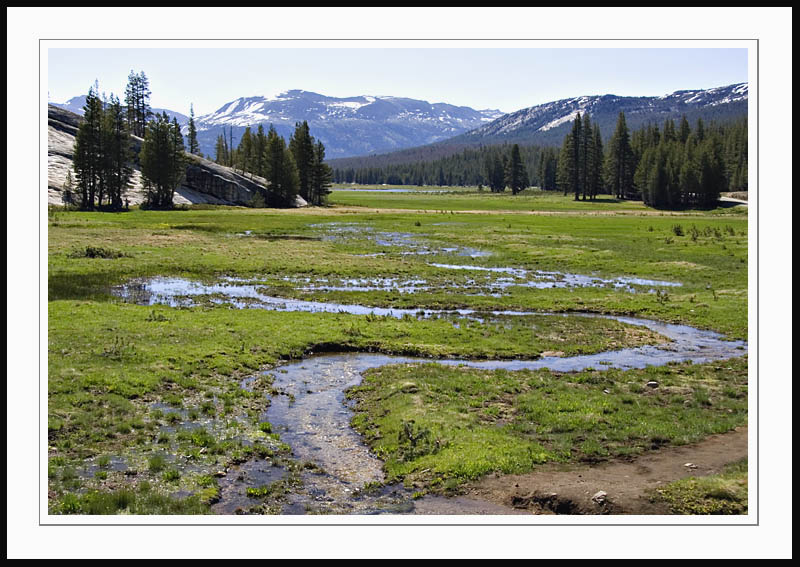TuolumneMeadows2005|07|08: Tuolumne Meadows. Yosemite National Park. July 8, 2005. © Copyright G Dan Mitchell.