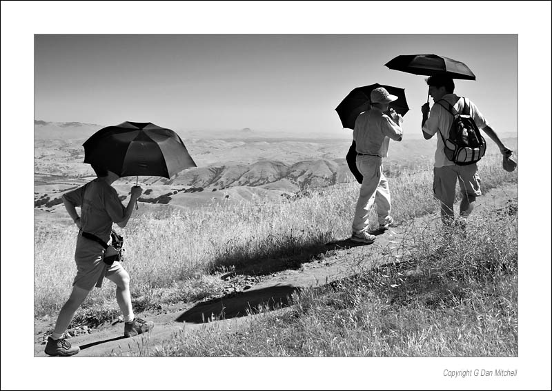 UmbrellaPeopleMission 2006|07|01: Umbrella People. Mission Peak. July1 , 2006. &copy; G Dan Michell.