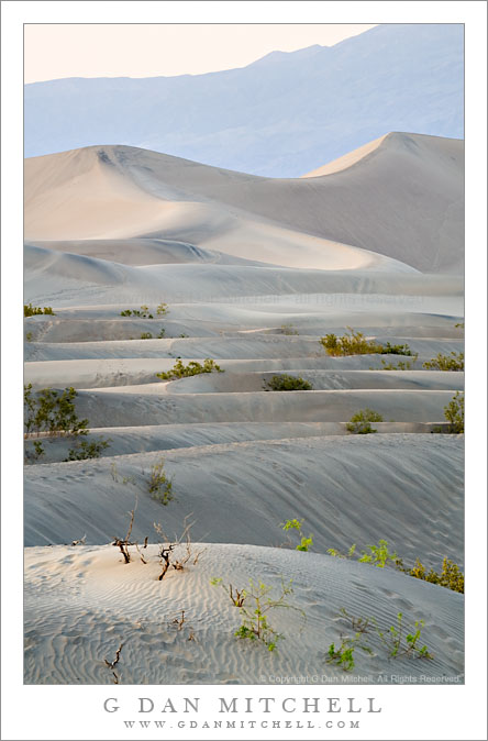 Mesquite Dunes, Dusk