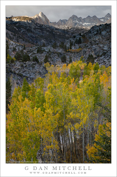 Aspen Grove, North Lake Road