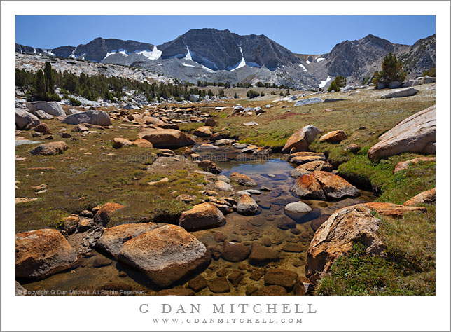 Creek and Meadow Above Evelyn Lake Creek and Meadow Above Evelyn Lake