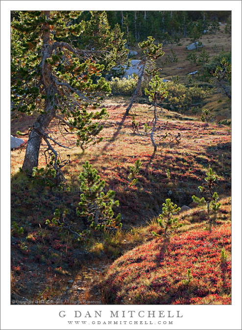 Dry Creek and Late-Season Meadow Dry Creek and Late-Season Meadow
