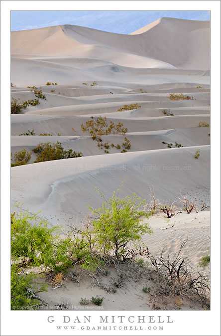 Dusk, Death Valley Dunes Dusk, Death Valley Dunes