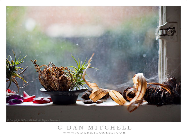 Brandon's Window Sill Brandon's Window Sill