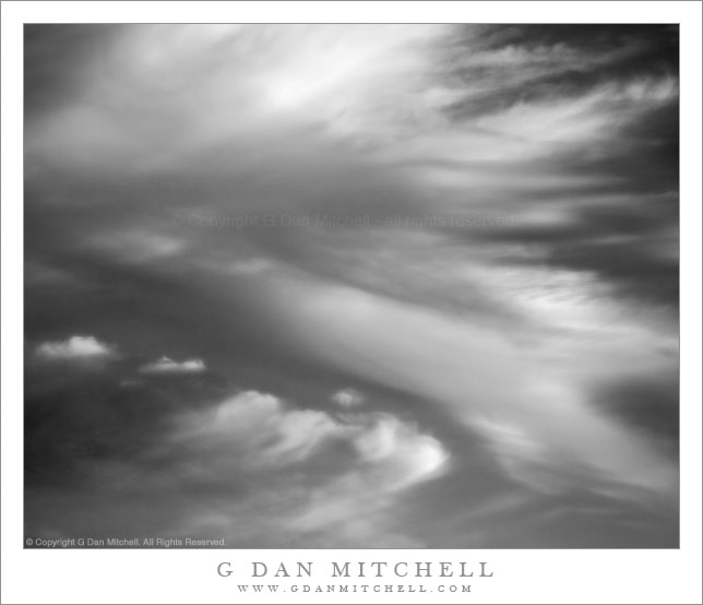 Cloud Forms #2 - June 23, 2010 Cloud Forms #2 - June 23, 2010