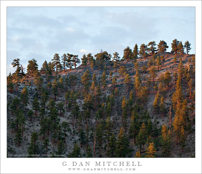 Volcanic Ridge, First Light Volcanic Ridge, First Light