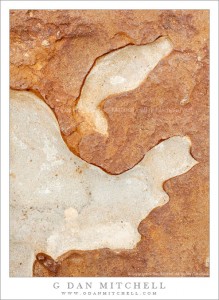 Point Lobos Rock Patterns #2 - July 10, 2010 Point Lobos Rock Patterns #2 - July 10, 2010