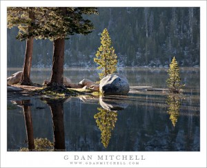 Shoreline Trees and Boulder, Morning Shoreline Trees and Boulder, Morning