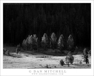 First Light, Tioga Meadows First Light, Tioga Meadows