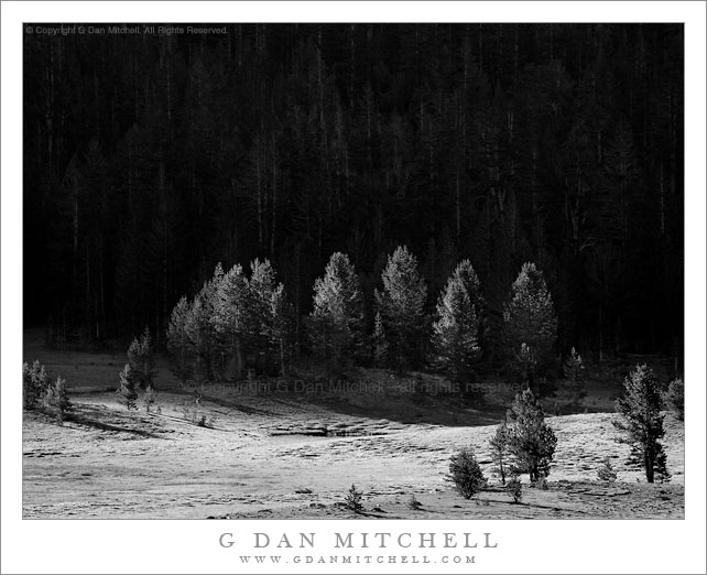 First Light, Tioga Meadows