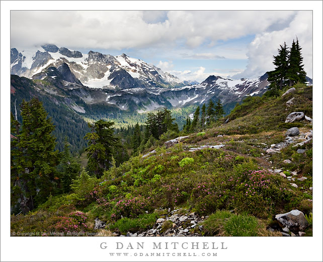 Artist Point Meadow, Mount Shuksan