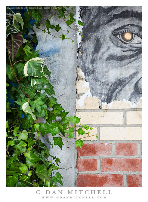 Wall With Face and Ivy, Chelsea Wall With Face and Ivy, Chelsea