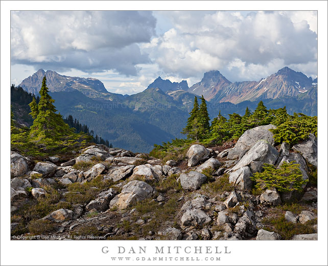 Trees and Boulders, Artist Point
