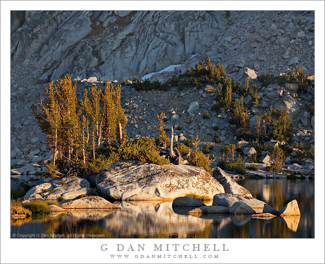 Evening Light, Upper Young Lake