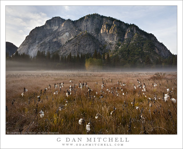 Glacier Point and Ground Fog in Ahwahnee Meadow, Autumn Glacier Point and Ground Fog in Ahwahnee Meadow, Autumn