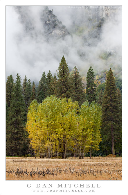 Ahwahnee Meadow, Cloud Shrouded Cliffs, Autumn Ahwahnee Meadow, Cloud Shrouded Cliffs, Autumn