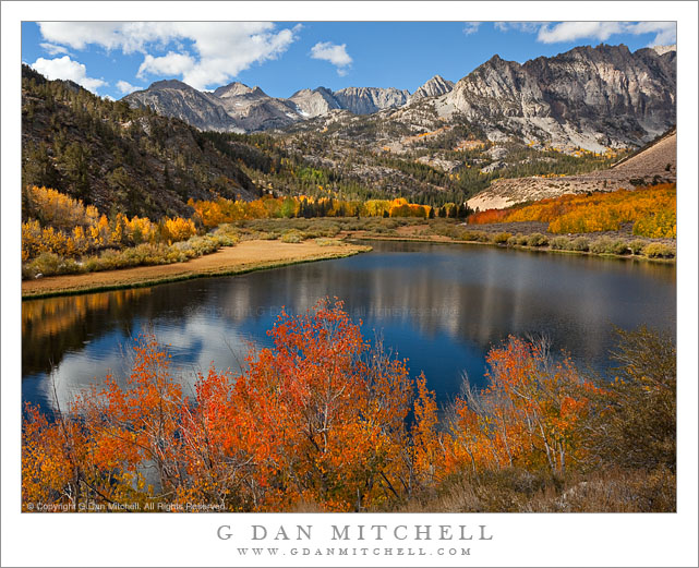 Aspen Color, North Lake