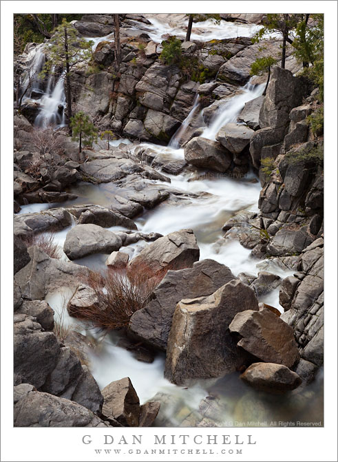 Confluence of Cascade and Tamarack Creeks