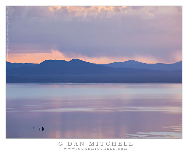 Purple Dawn, Mono Lake Purple Dawn, Mono Lake
