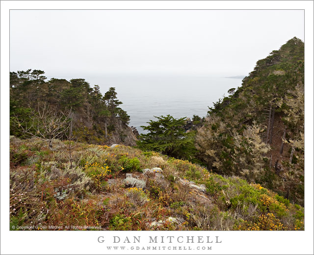 Whalers Knoll, Point Lobos Whalers Knoll, Point Lobos