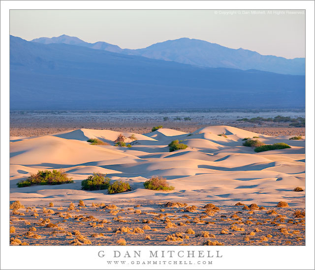 Dunes, Mesquite Flat, Sunrise Dunes, Mesquite Flat, Sunrise