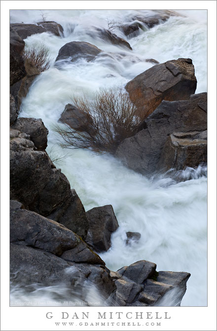 Spring Torrent, Cascade Creek Spring Torrent, Cascade Creek