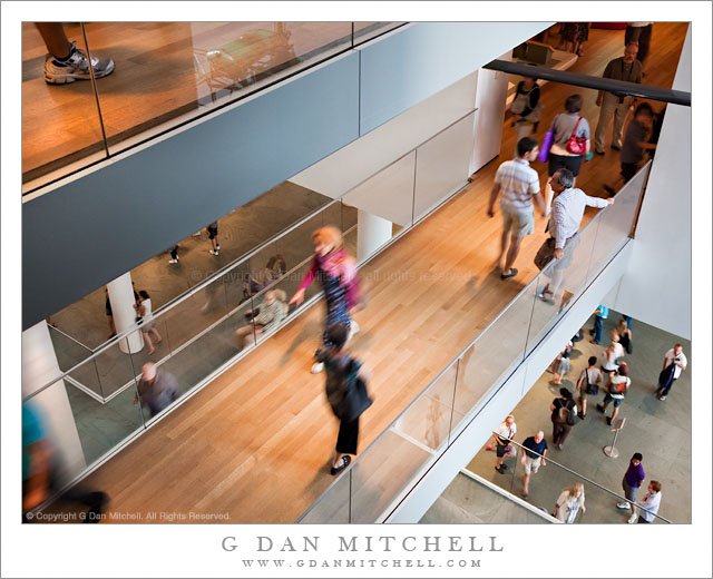 People, MoMA People, MoMA