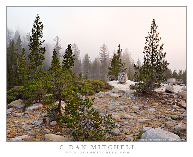 Evening Fog, Autumn Evening Fog, Autumn