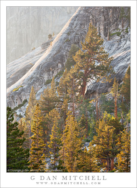 Forest And Cliffs, Evening Forest And Cliffs, Evening