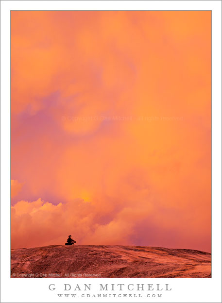 Tree, Granite Slabs, Evening Storm Clouds Tree, Granite Slabs, Evening Storm Clouds