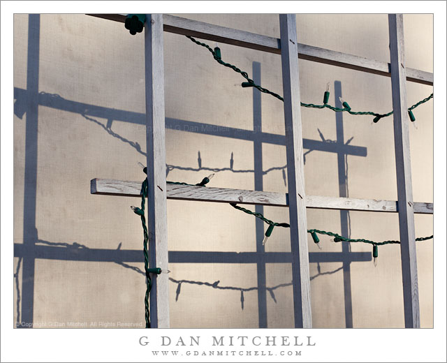 Holiday Lights, Shadows Holiday Lights, Shadows - Late afternoon light on holiday lights on a trellis casts shadows on a cloth backdrop.