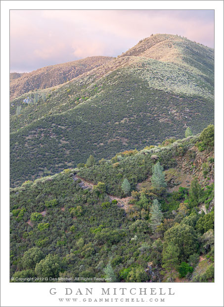 Sierra Foothills, Evening Sierra Foothills, Evening - Subtle evening light gently colors the chaparral-covered hills of the Sierra Nevada foothills on a spring evening, California.