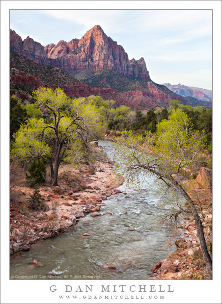 The Watchman and the Virgin River, Morning - The virgin River curves towards the Watchman in early morning light, Zion National Park, Utah.