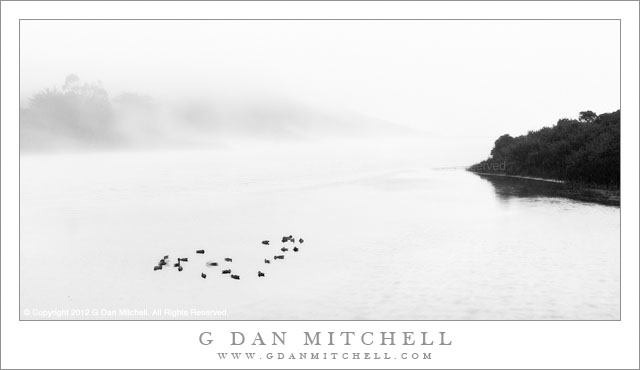 Birds, Evening Fog, Rodeo Lagoon - Evening fog obscures the landscape of Rodeo Lagoon, Golden Gate National Recreation Area