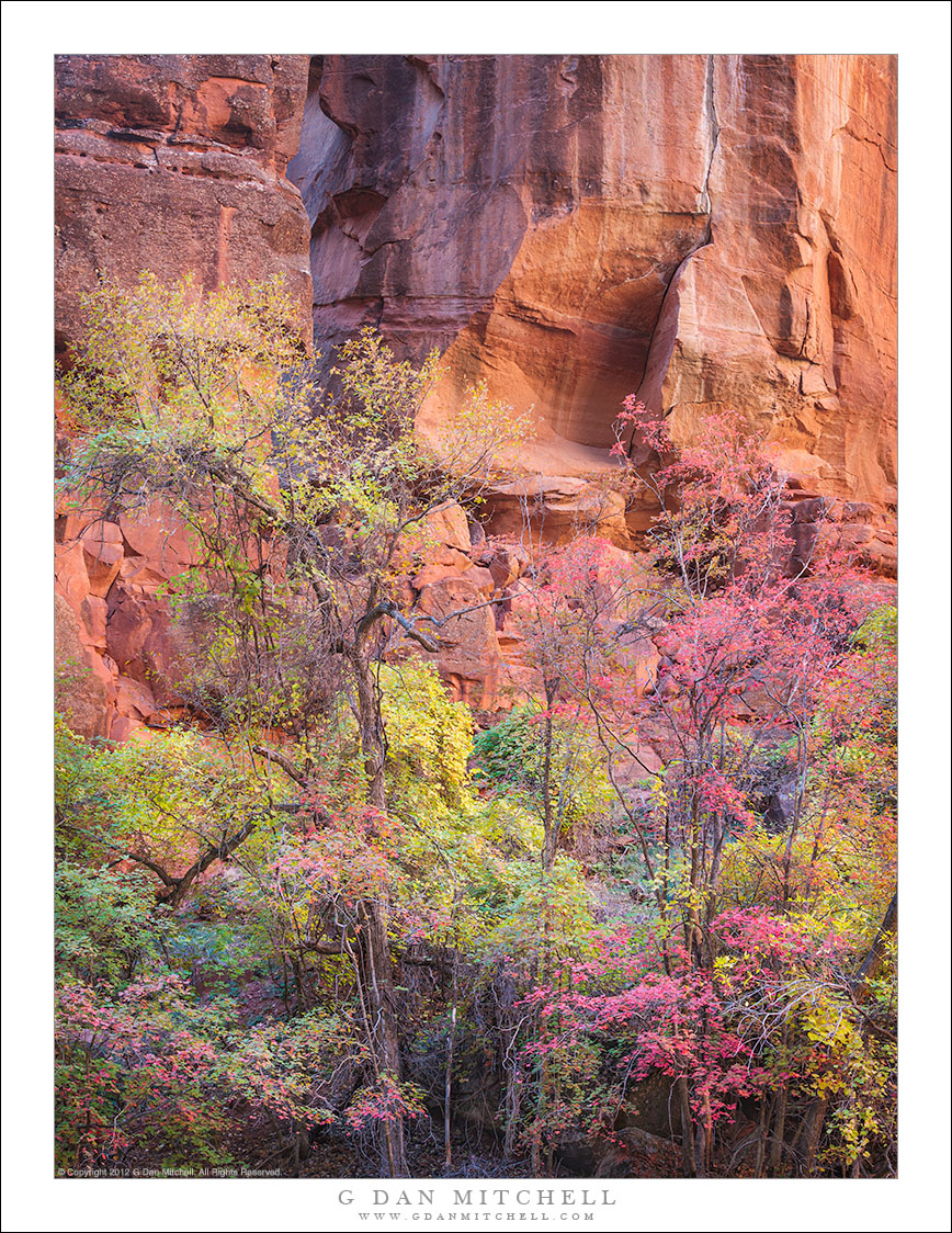 Red Rock and Autumn Color