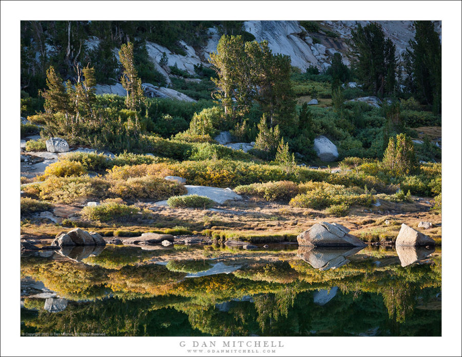 Alpine Lake Shoreline LaptrinhX News