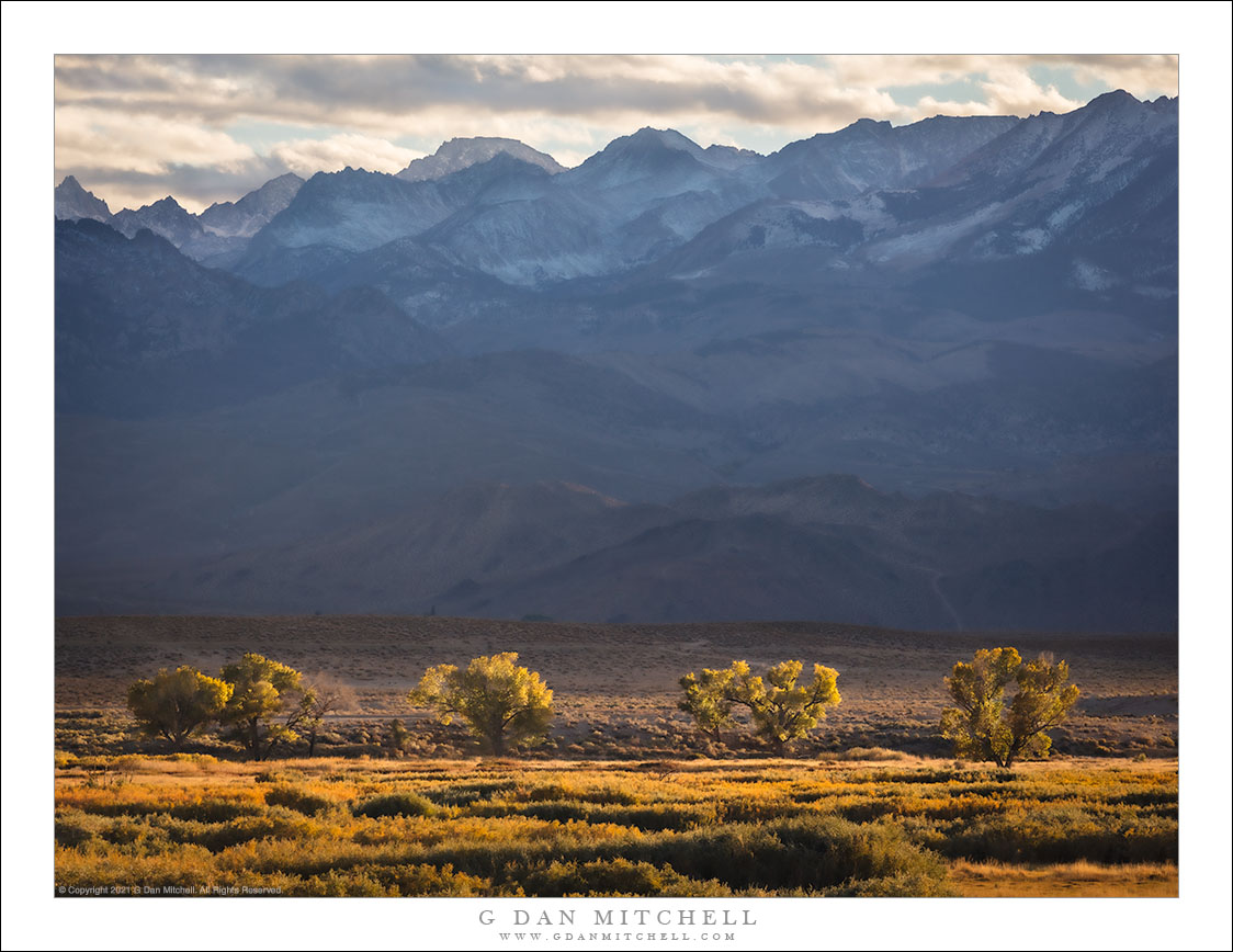 Four Trees, Owens Valley And The Sierra